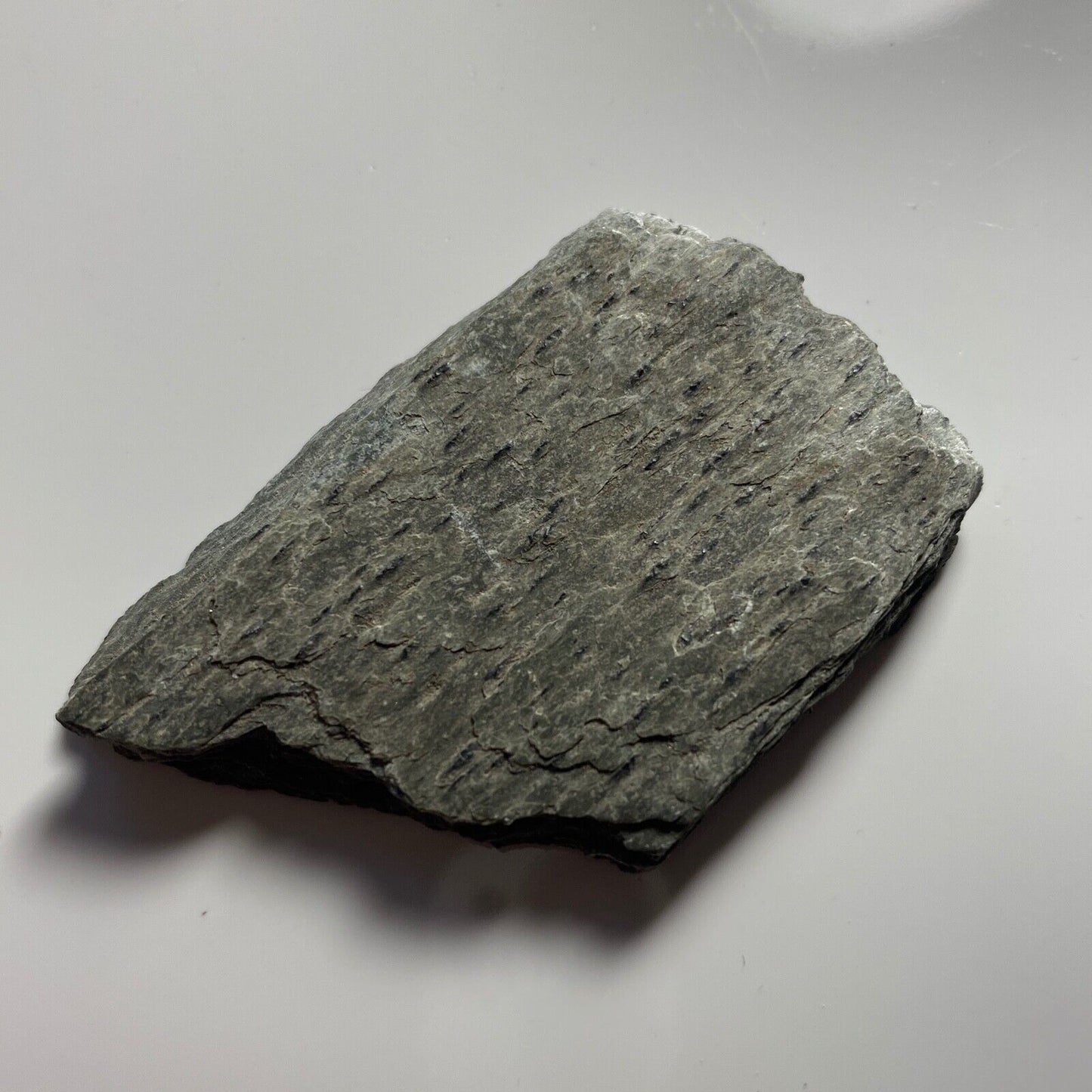 CHLORITE SCHIST [CHLORITOID SCHIST] FROM SUDBURY, CANADA 2 SPECIMENS TOTAL 55g M