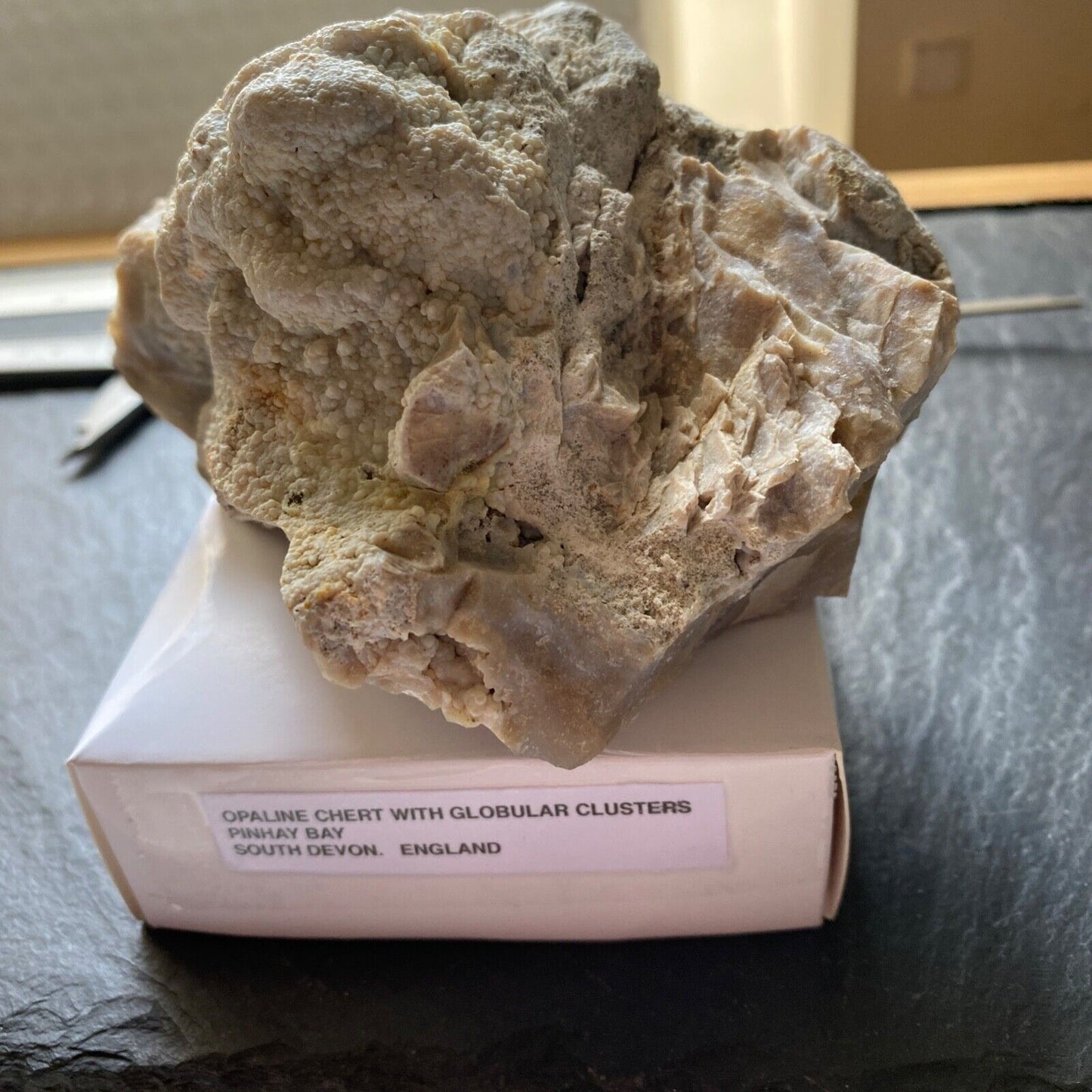 CHERT OPALIN A AGRAFE GLOBULAIRE DU DEVON. 865g MF1332