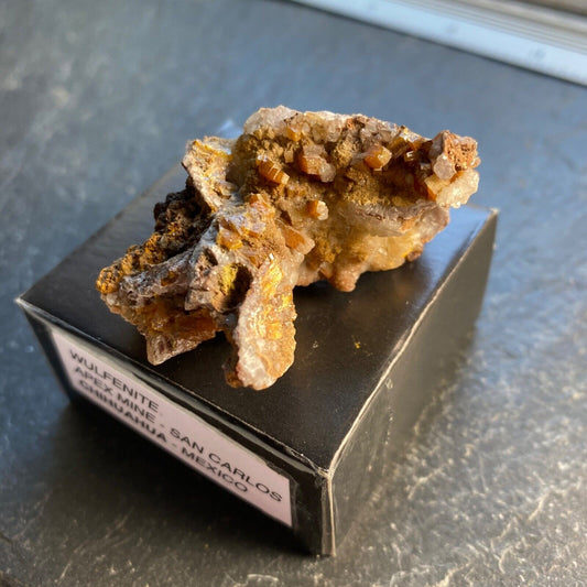 WULFENITE ON MATRIX FROM APEX MINE, MEXICO. 25g MF1190