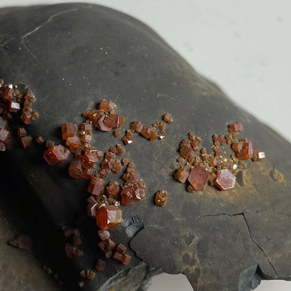 VANADINITE ON GOETHITE FROM FOUR MAN MINE MOROCCO 388g MF3973