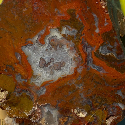 AGATE DE JASPE DU NORTHUMBERLAND, ANGLETERRE 52g MF6358