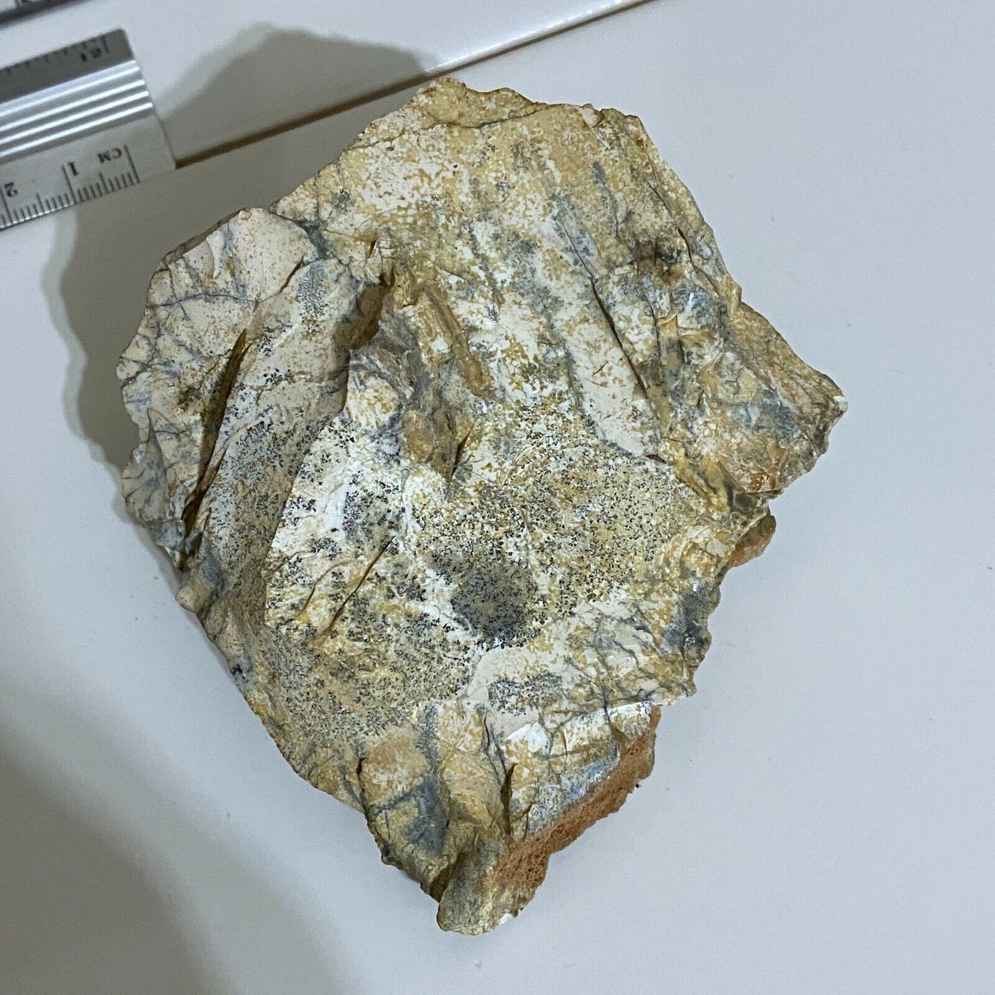 ÁGATA DE MUSGO DE AUSTRALIA PIEZA ÚNICA 195g MF3963