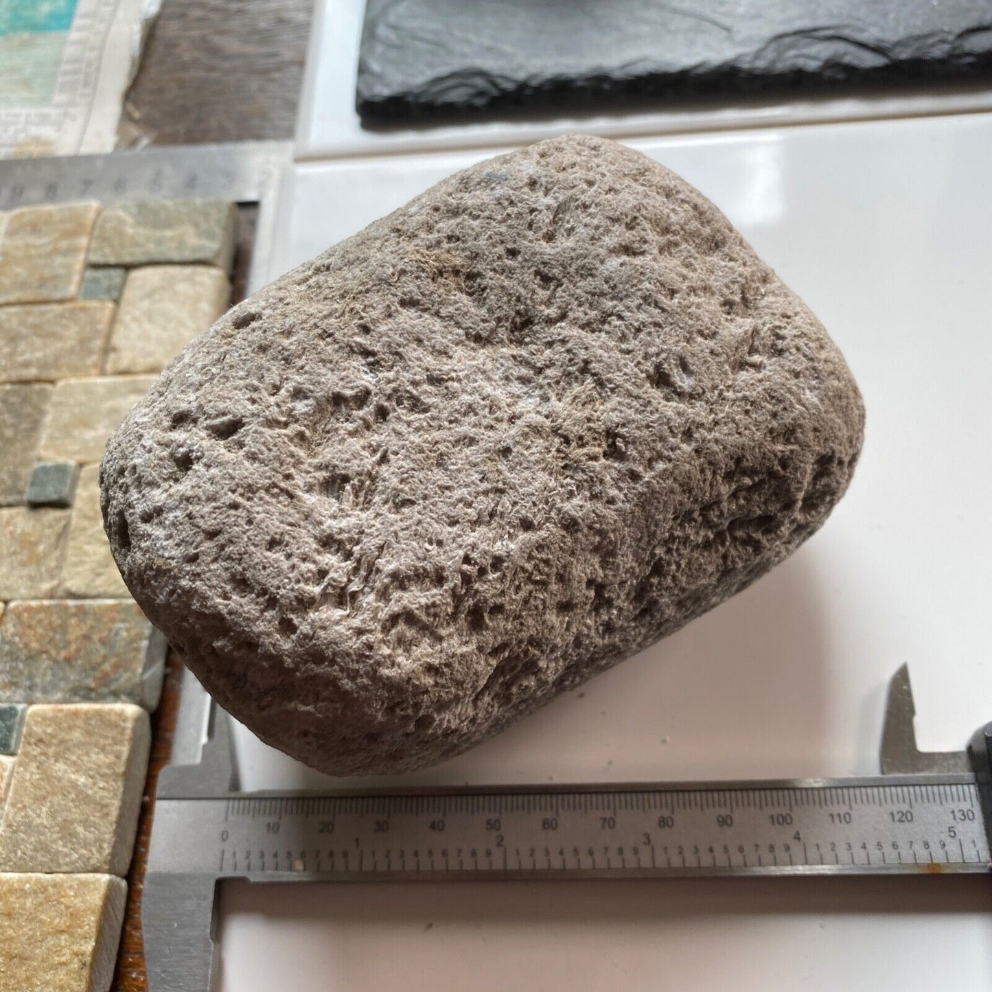 PUMICE [RHYOLITE LAVA] FROM LIPARI, SICILY, SUBSTANTIAL 559g MF1323