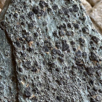 INTERESTING MAGNETITE/CHLRORITE SPECIMEN FROM CORNWALL 190g MF1238