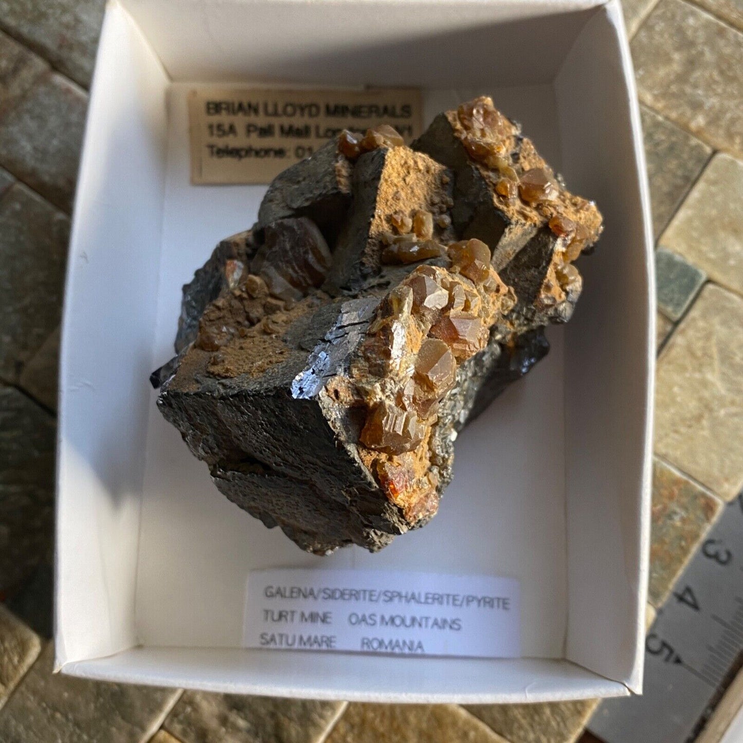 GALÈNE/SIDERITE/SPHALERITE/PYRITE ÉCHANTILLON IMPRESSIONNANT DE ROUMANIE 454g MF1150