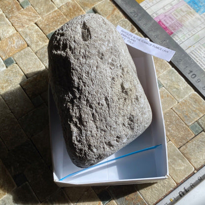 PUMICE [RHYOLITE LAVA] FROM LIPARI, SICILY, SUBSTANTIAL 559g MF1323