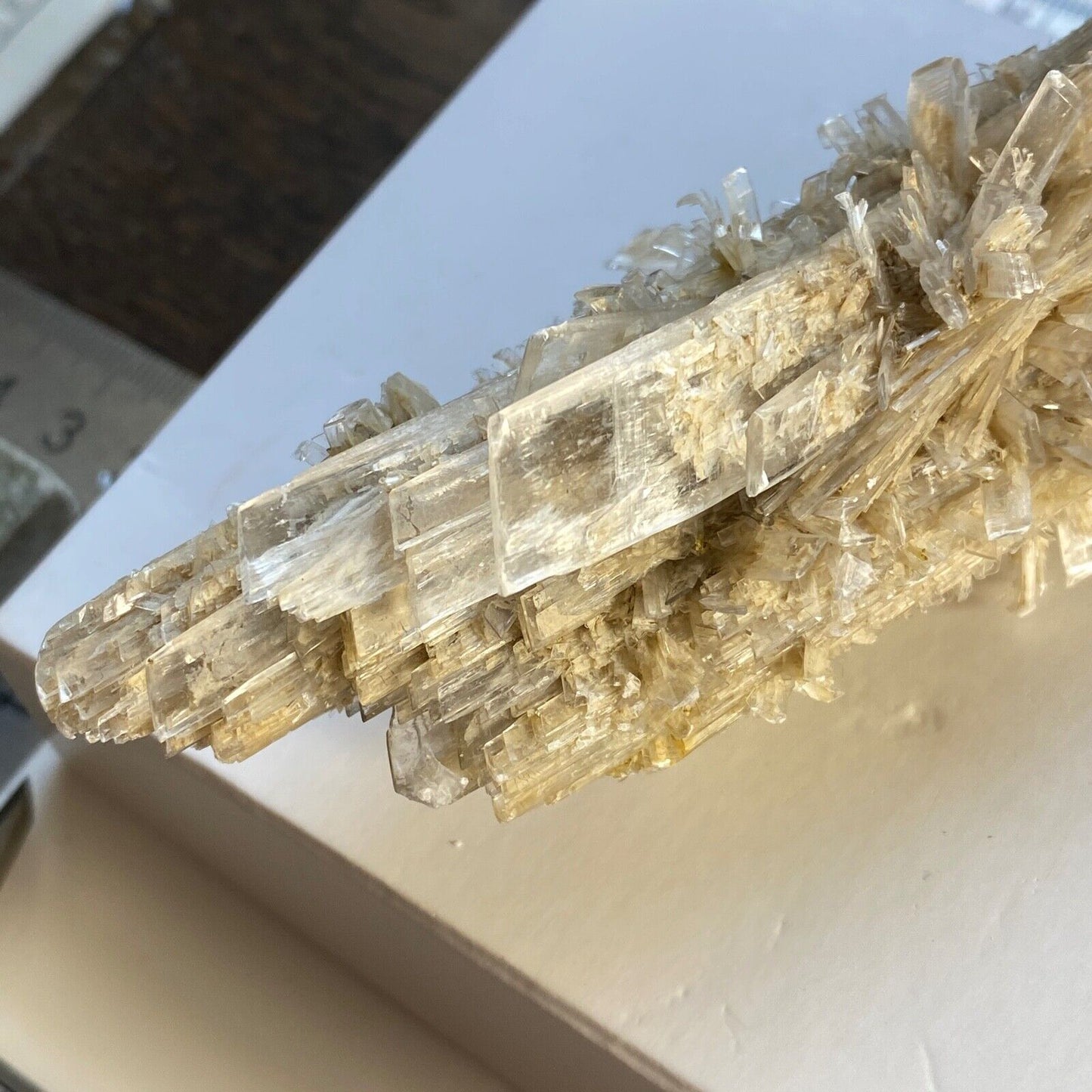 SELENITE FROM ANGERVILLIERS, ESSONE, FRANCE 105g MF6887