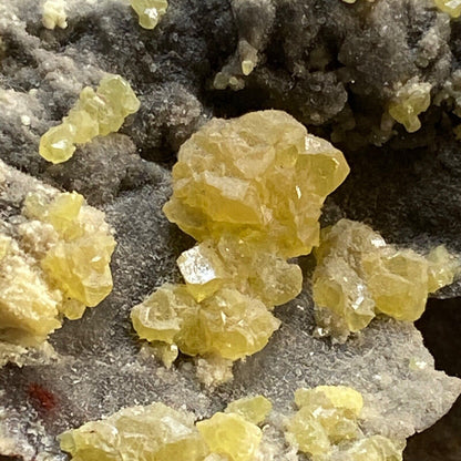 SULPHUR CRYSTALLISATION ON CELESTINE FROM SICILY 117g MF619