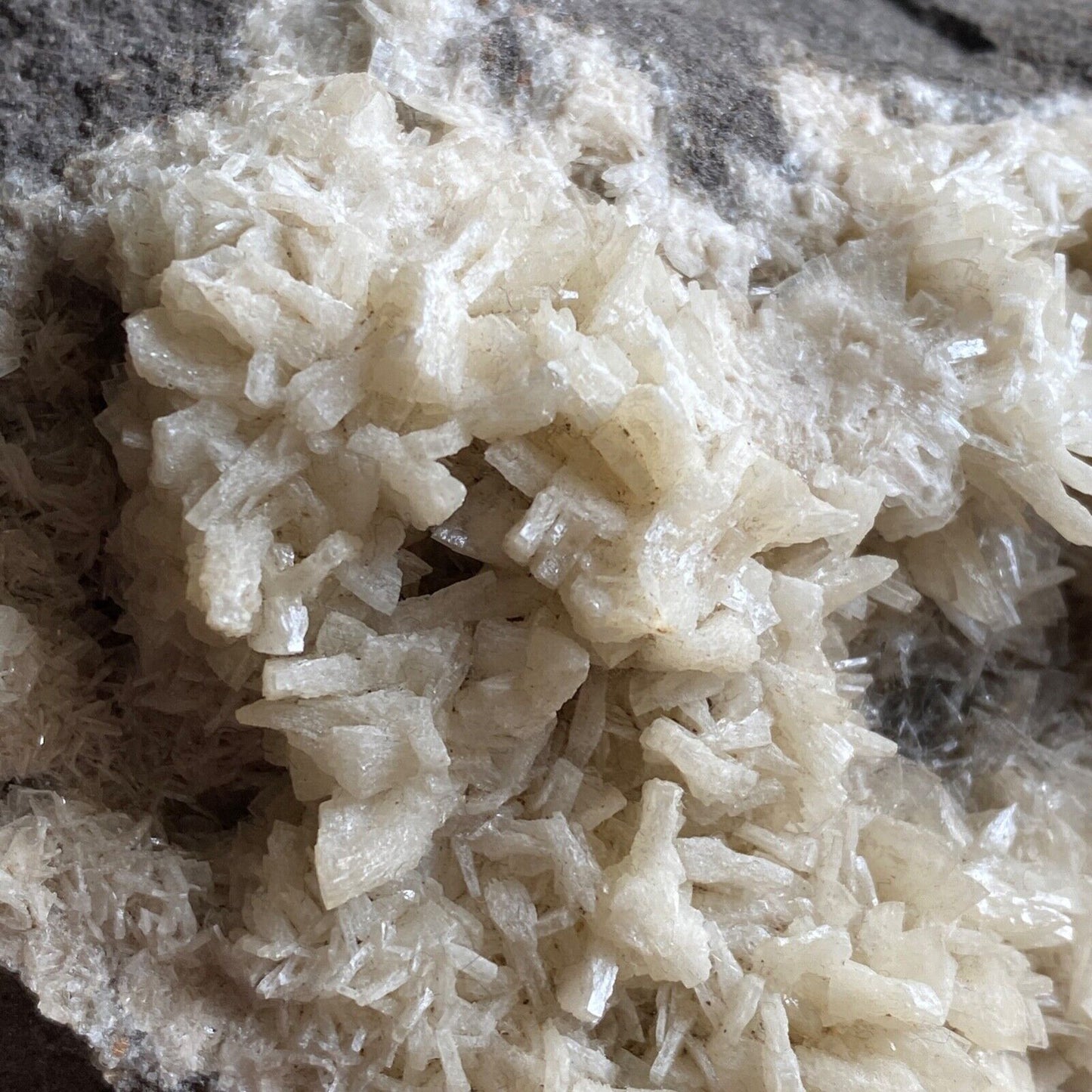 DOLOMITE SUR CALCAIRE DE LA MINE DE CAVNIC, ROUMANIE. 597g MF1187