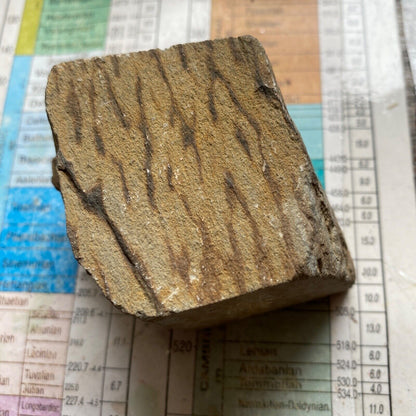 UNUSUAL SANDSTONE SPECIMEN FROM PARADOX VALLEY, USA 200g MF6916