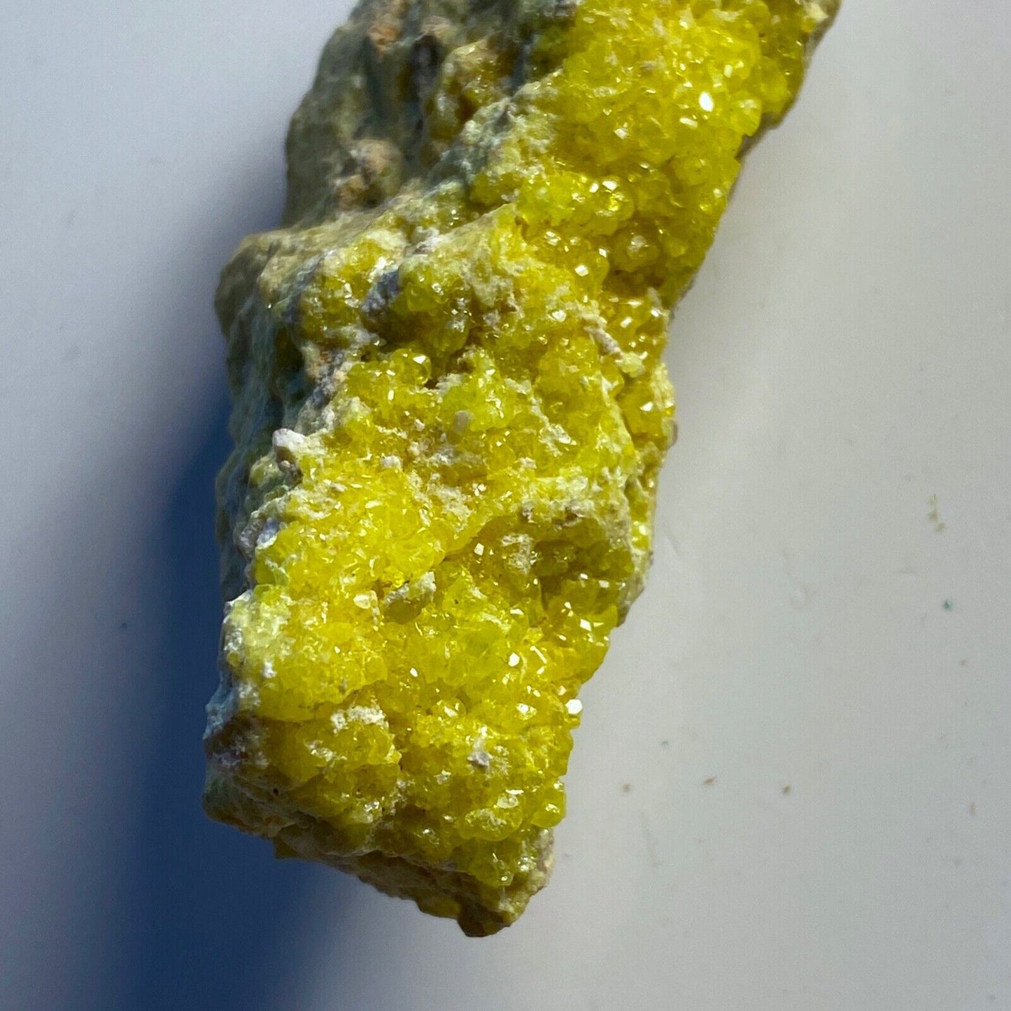 SULPHUR CRYSTAL ASSEMBLAGE FROM STEAMBOAT SPRINGS, NEVADA