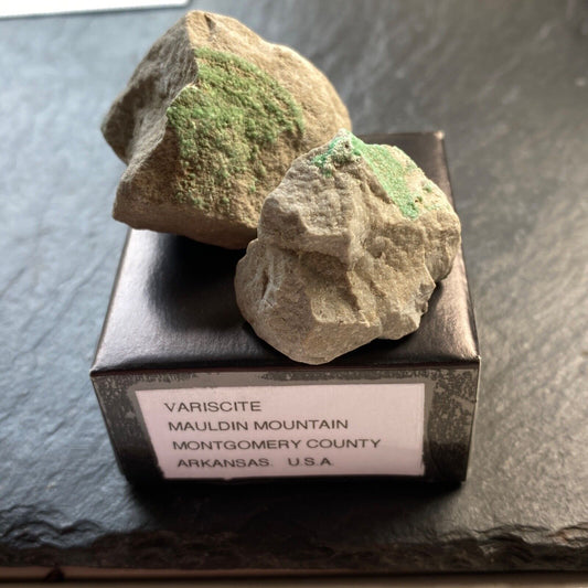 VARISCITE ON MATRIX FROM MAULDIN MT ARKANSAS 38g MF1129