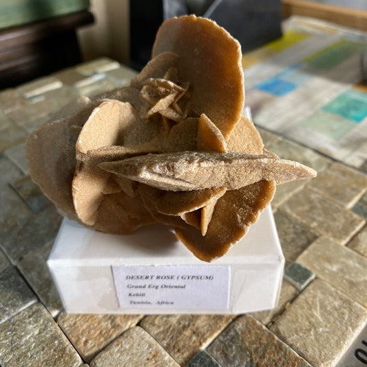 DESERT ROSE GYPSE ​​ATTRACTIF GROS MORCEAU DE TUNISIE 166g MF970