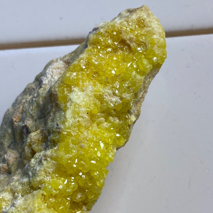 SULPHUR CRYSTAL ASSEMBLAGE FROM STEAMBOAT SPRINGS, NEVADA