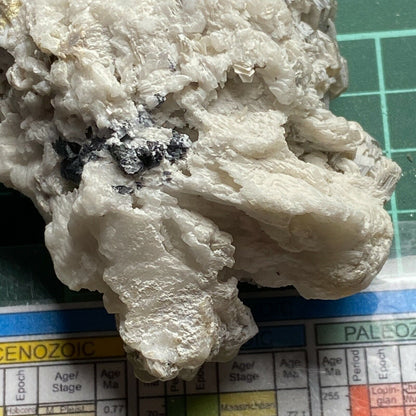 MUSCOVITE WITH SCHORL TOURMALINE ON ALBITE FELDSPAR148g  MF8352Y