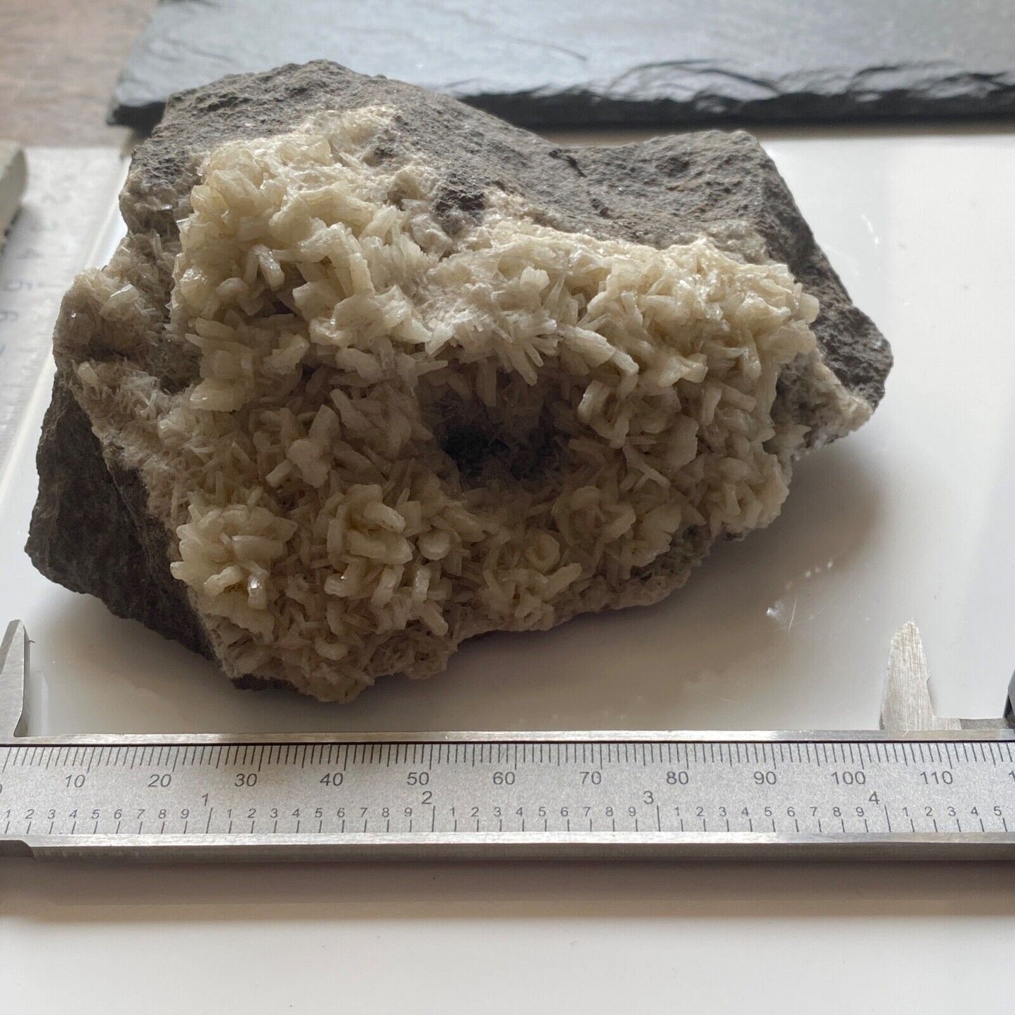 DOLOMITE ON LIMESTONE FROM CAVNIC MINE, ROMANIA. 597g MF1187