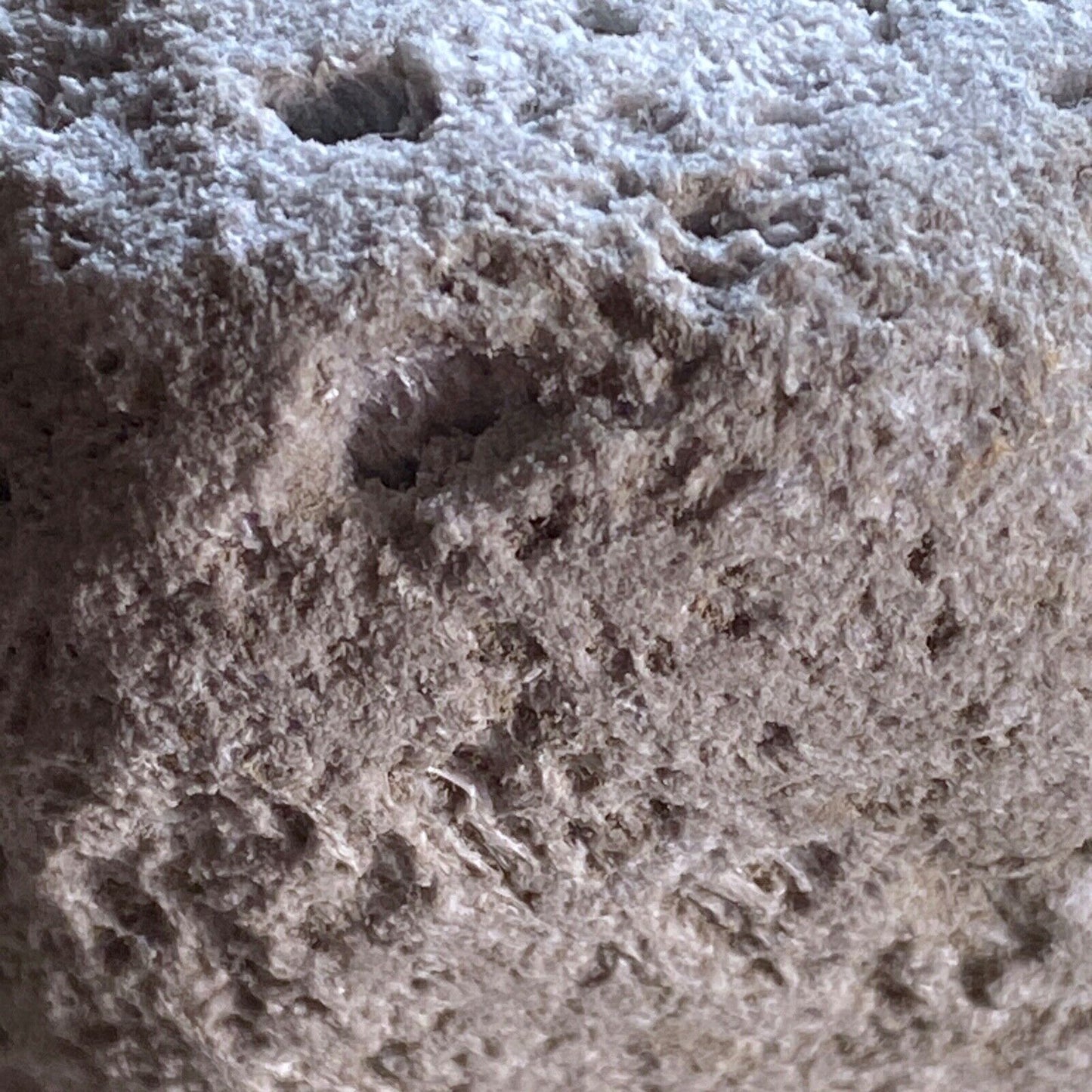 PUMICE [RHYOLITE LAVA] FROM LIPARI, SICILY, SUBSTANTIAL 559g MF1323