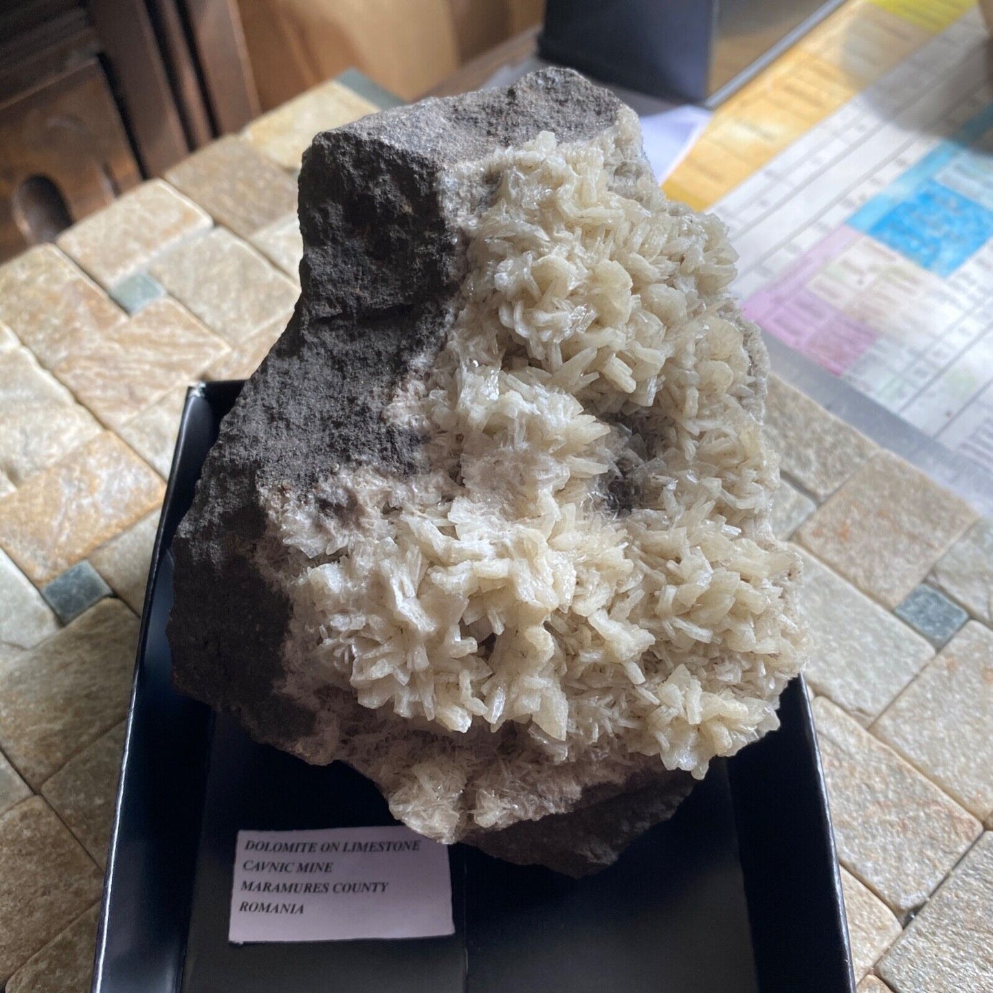 DOLOMITE SUR CALCAIRE DE LA MINE DE CAVNIC, ROUMANIE. 597g MF1187