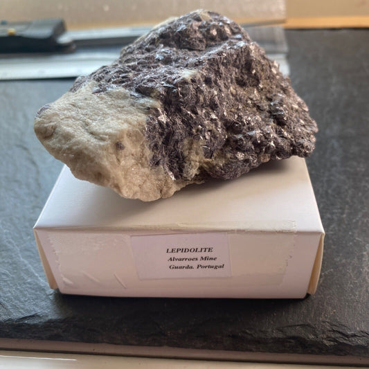 LEPIDOLITE ON MATRIX FROM ALVARROES MINE, PORTUGAL 189g MF1206