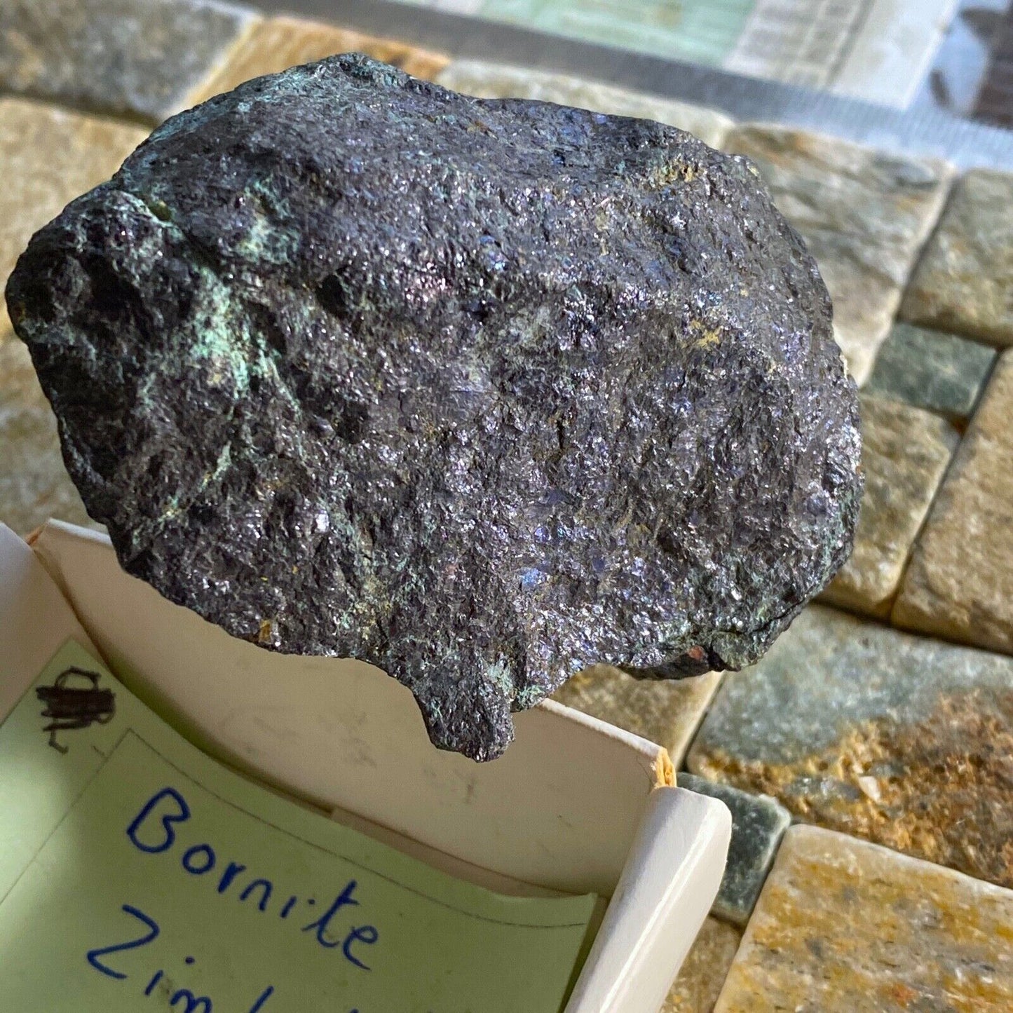 BORNITE FROM ZIMBABWE 250g MF6812