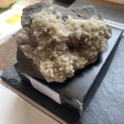 DOLOMITE ON LIMESTONE FROM CAVNIC MINE, ROMANIA. 597g MF1187