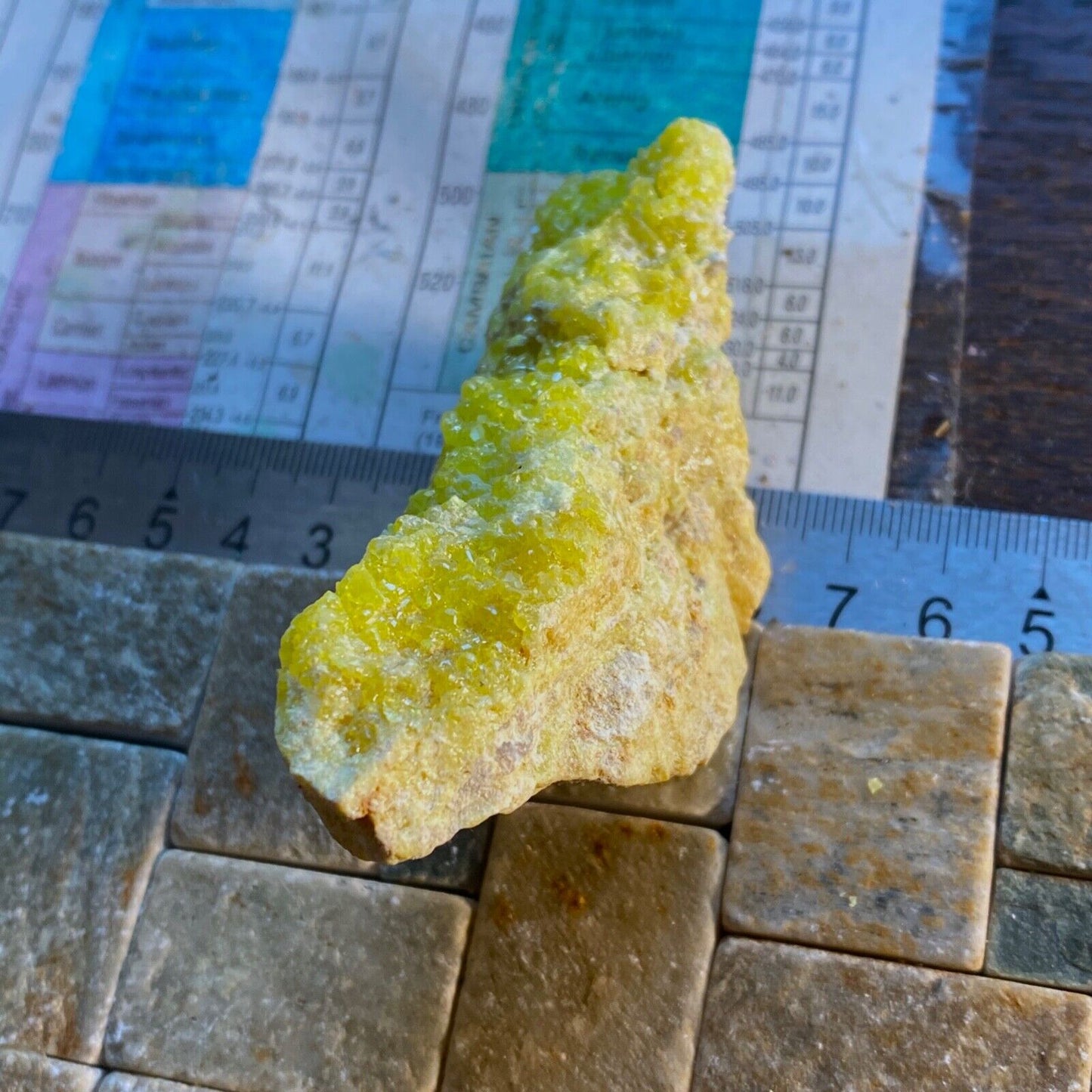 SULPHUR CRYSTAL ASSEMBLAGE FROM STEAMBOAT SPRINGS, NEVADA