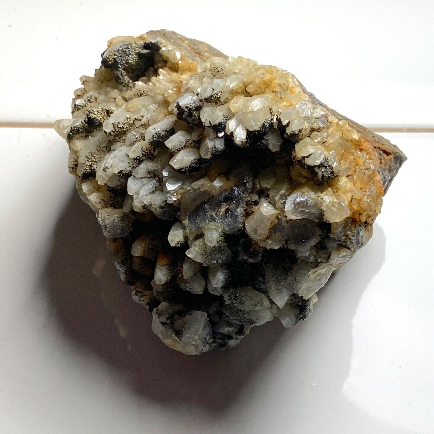 QUARTZ/MARCASITE/PYRITE DE VENN NOIR, DORSET 327g MF755