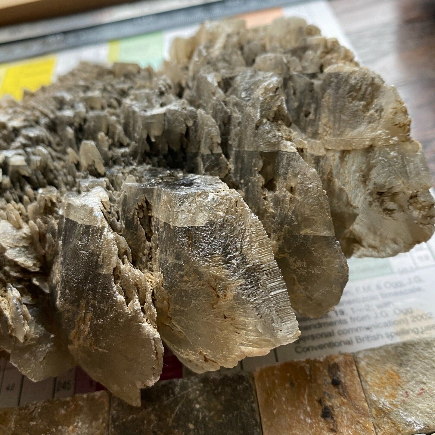 SELENITE  TWINNED CRYSTALLISATION FROM SWANAG ,DORSET ENGLAND 1051g MF6021