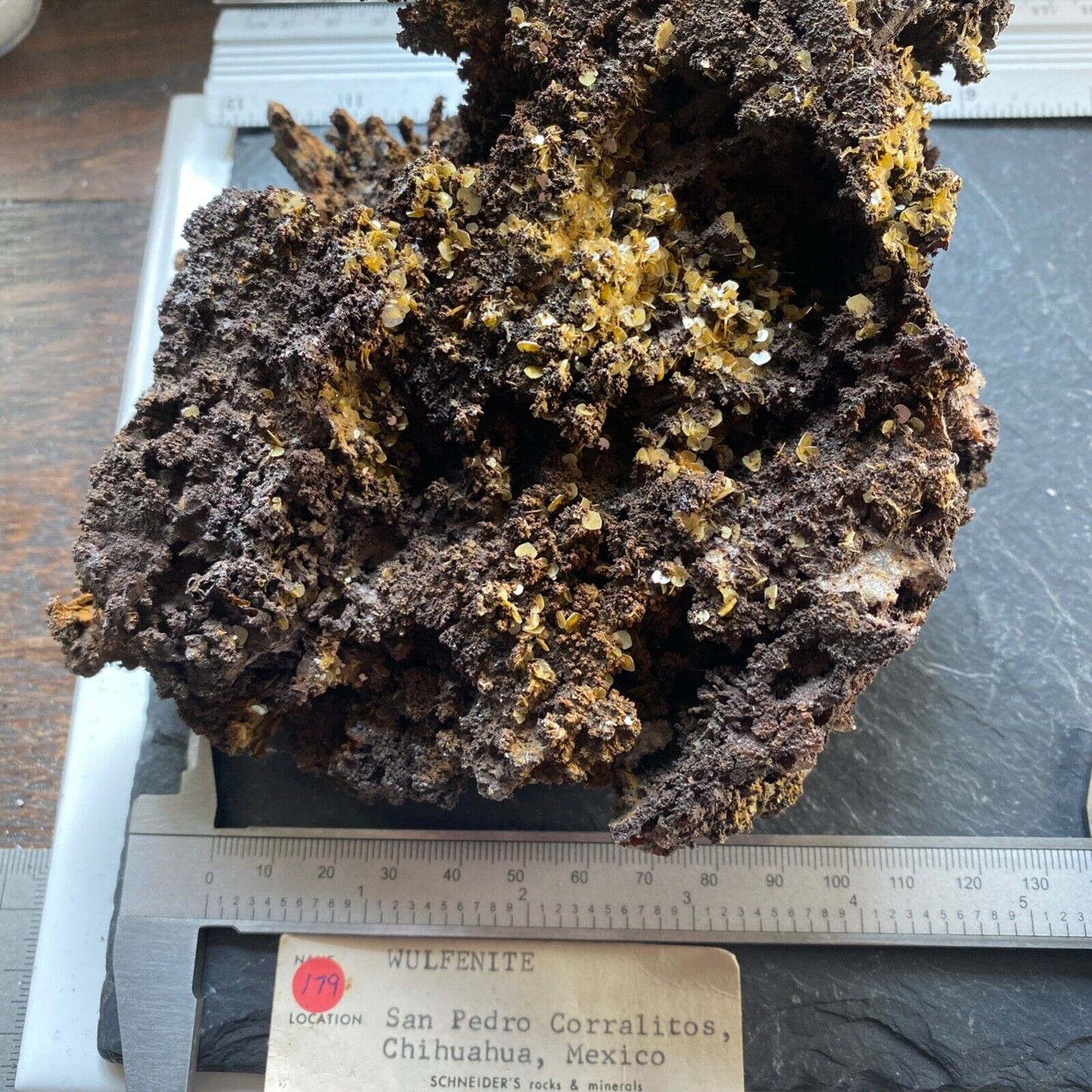 WULFENITE ON GOSSAN MATRIX SUBSTANTIAL PIECE FROM MEXICO 920g MF1100