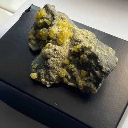 SULPHUR CRYSTALLISATION ON CELESTINE FROM SICILY 117g MF619