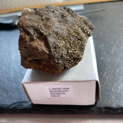 PYRITE ETC FROM LLIWEDD VEIN, SNOWDON, WALES 140g MF1309