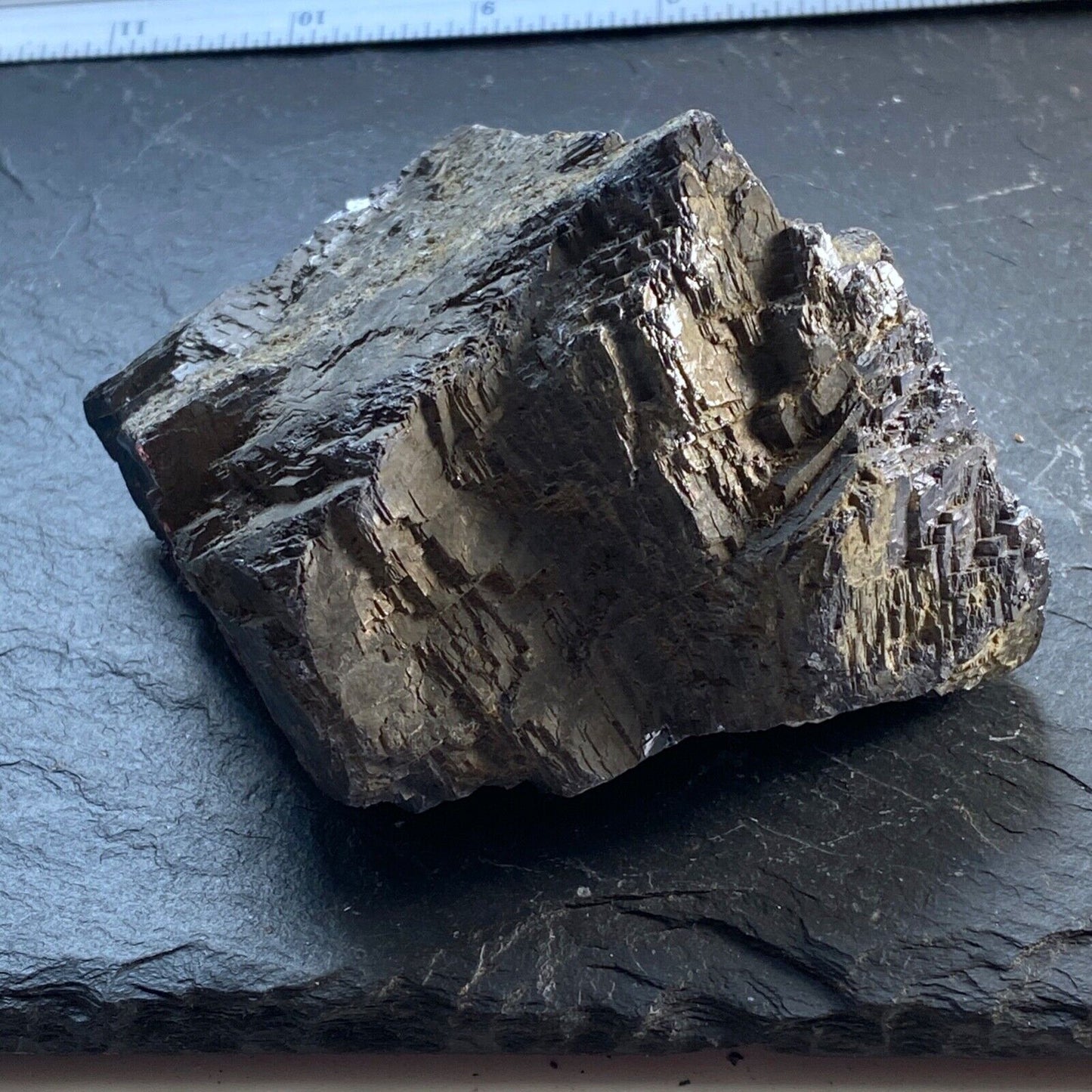 SOLID GALENA ORE FROM BORIEVA MINE, BULGARIA HEAVY 1020g MF1006