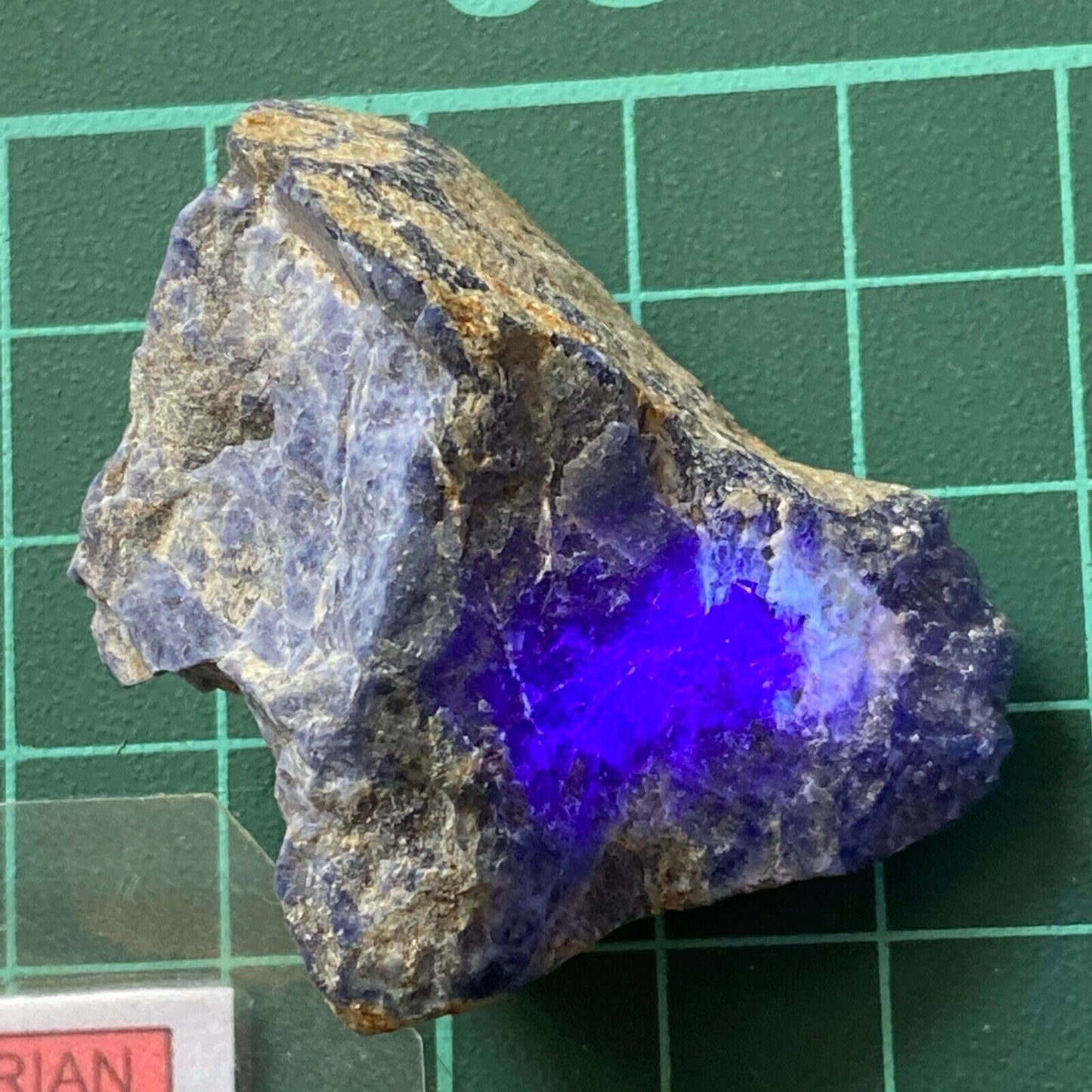 SODALITE FROM MASHONOLAND, ZIMBABWE  24g MF6100