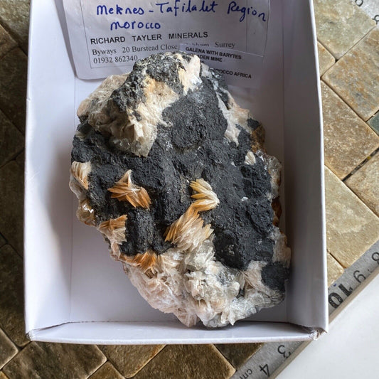 GALENA WITH BARYTES FROM MIBLADEN MINE, MOROCCO 534g MF1308