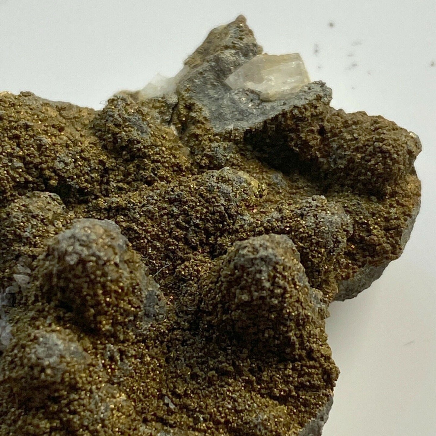 PYRITE EPIMORPH AFTER CALCITE FROM CHIPPING SODBURY, ENGLAND 16g. MF6364