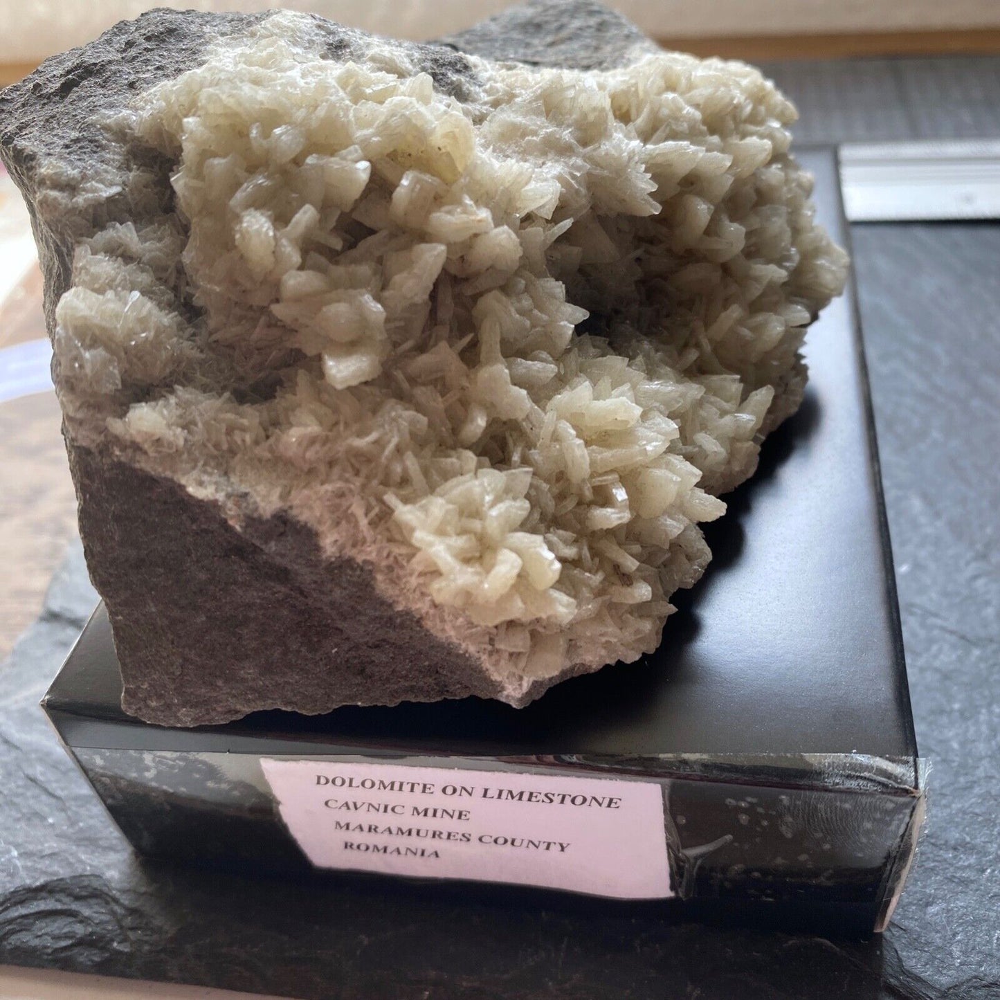 DOLOMITE SUR CALCAIRE DE LA MINE DE CAVNIC, ROUMANIE. 597g MF1187