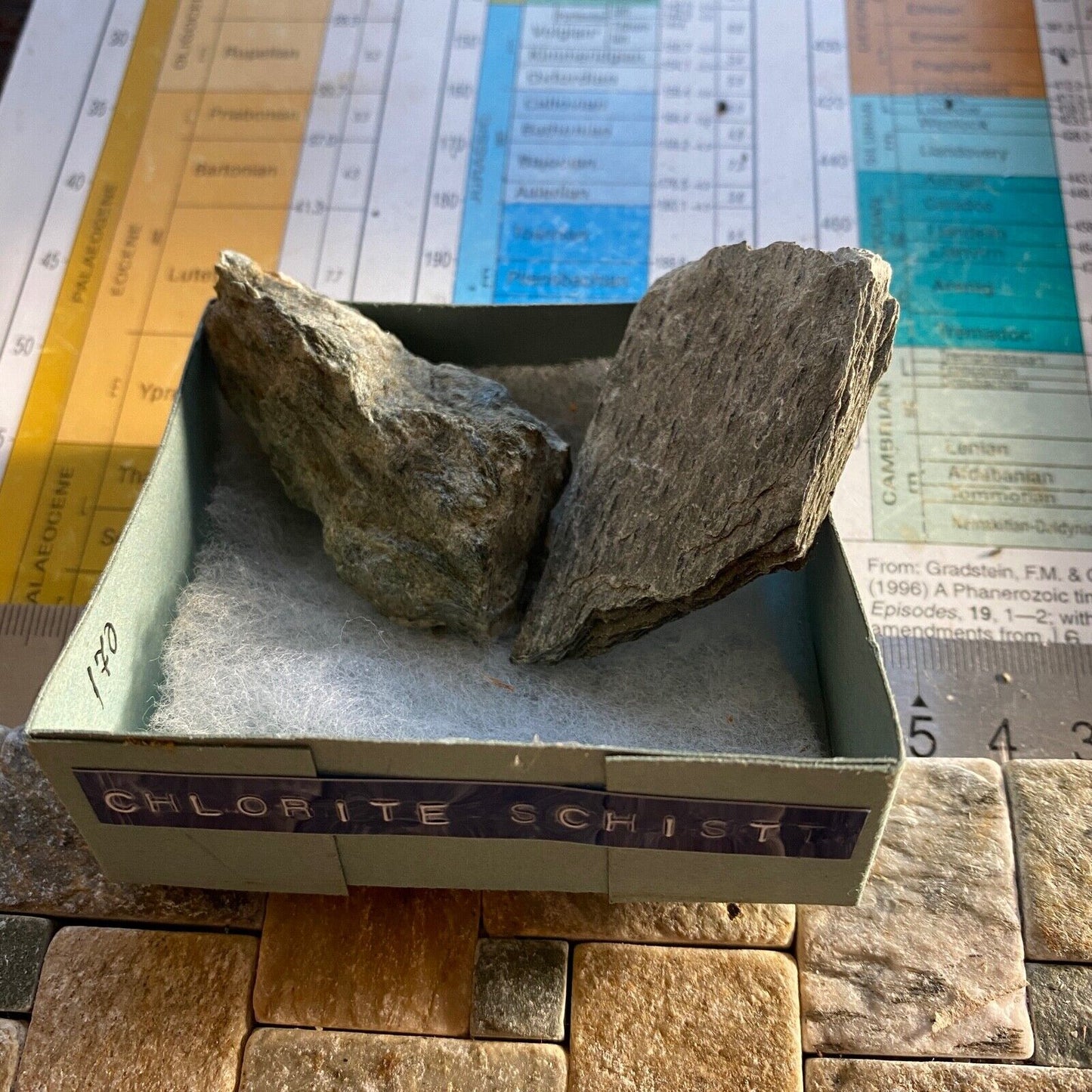 CHLORITE SCHIST [CHLORITOID SCHIST] FROM SUDBURY, CANADA 2 SPECIMENS TOTAL 55g M