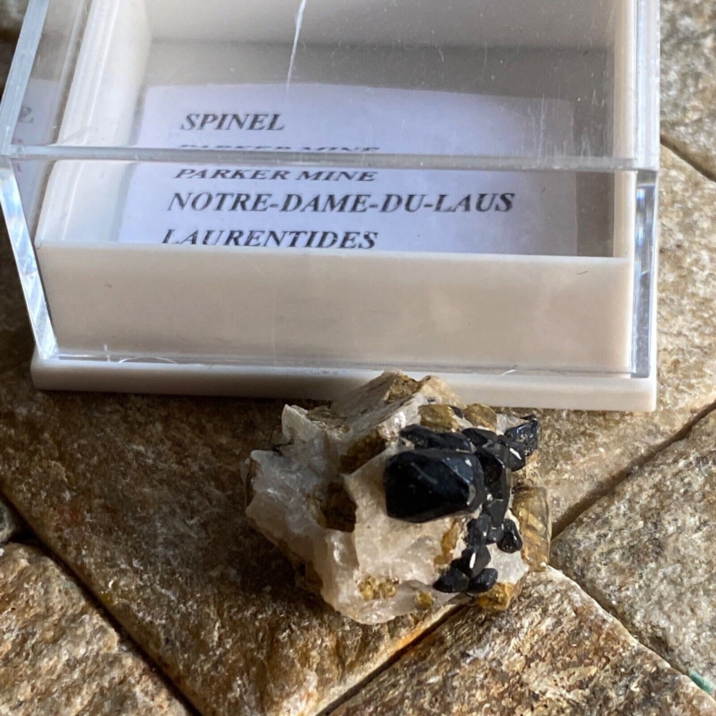 SPINEL/OLIVINE RARE SPECIMEN FROM PARKER MINE, QUEBEC, CANADA. 5g MF1148