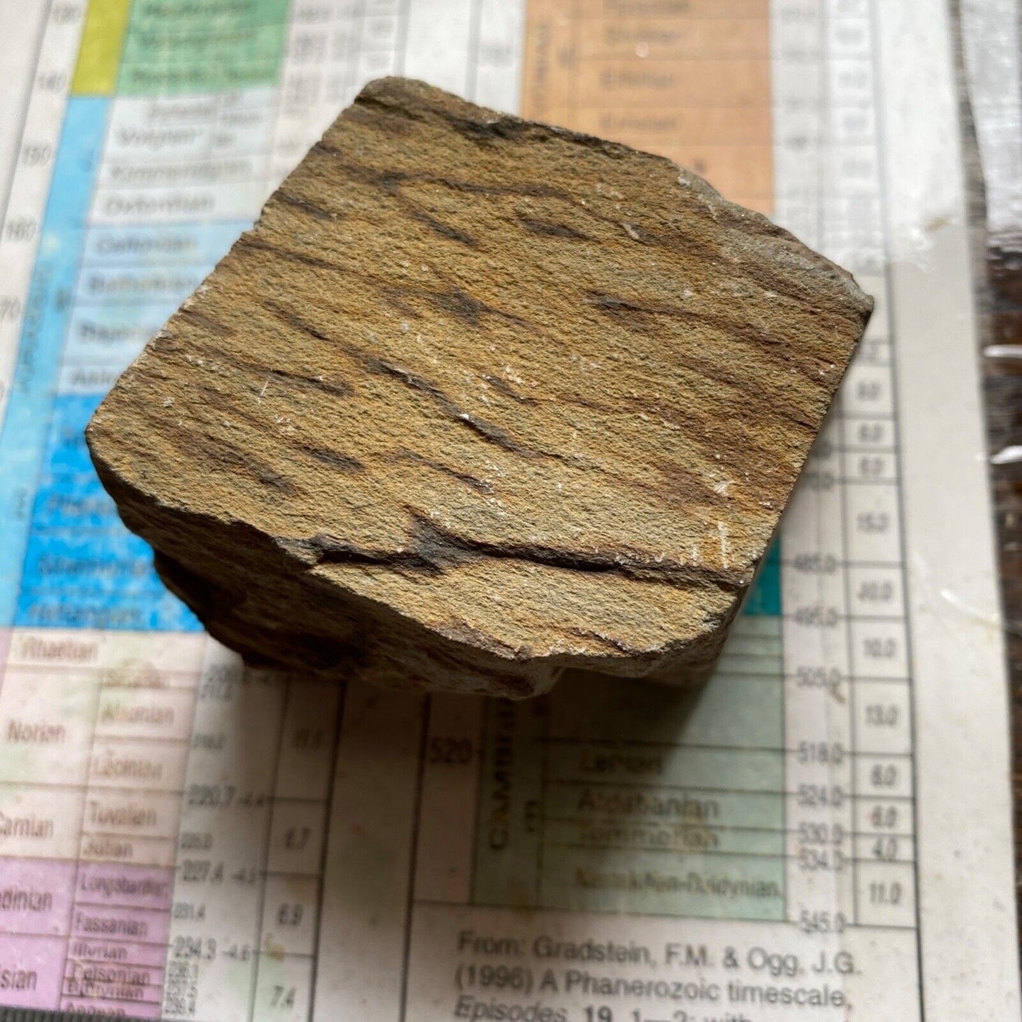 UNUSUAL SANDSTONE SPECIMEN FROM PARADOX VALLEY, USA 200g MF6916