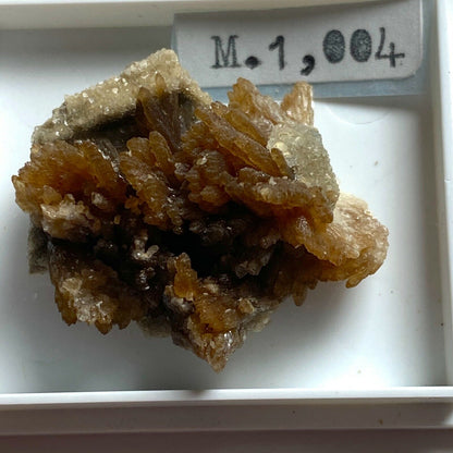 BRITISH MINERAL SPECIMENS x 5 MF6414