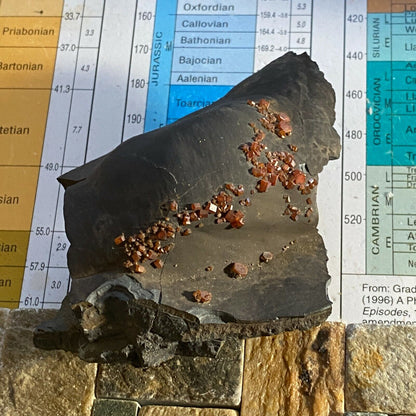 VANADINITE ON GOETHITE FROM FOUR MAN MINE MOROCCO 388g MF3973